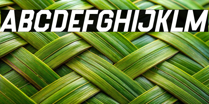 Crafton Demo Example 1