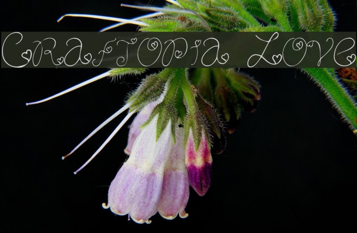 Craftopia Love Font examples