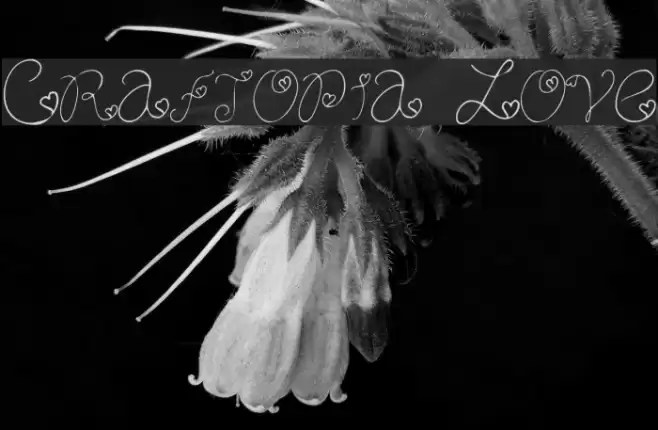 Craftopia Love フォント examples