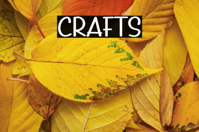 Crafts Example 2