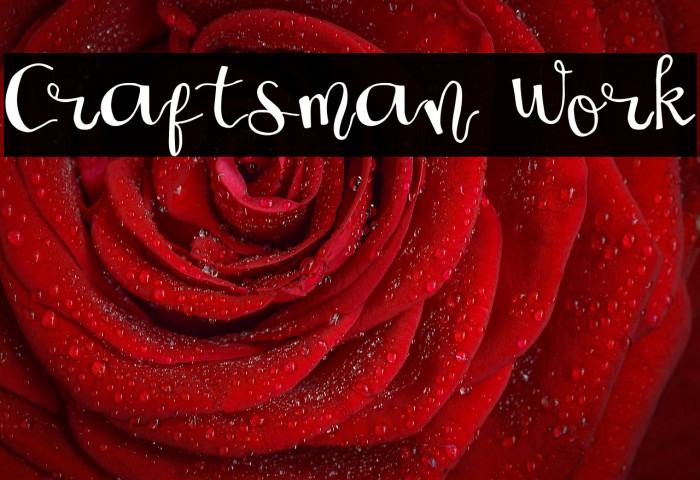 Craftsman Work Example 1