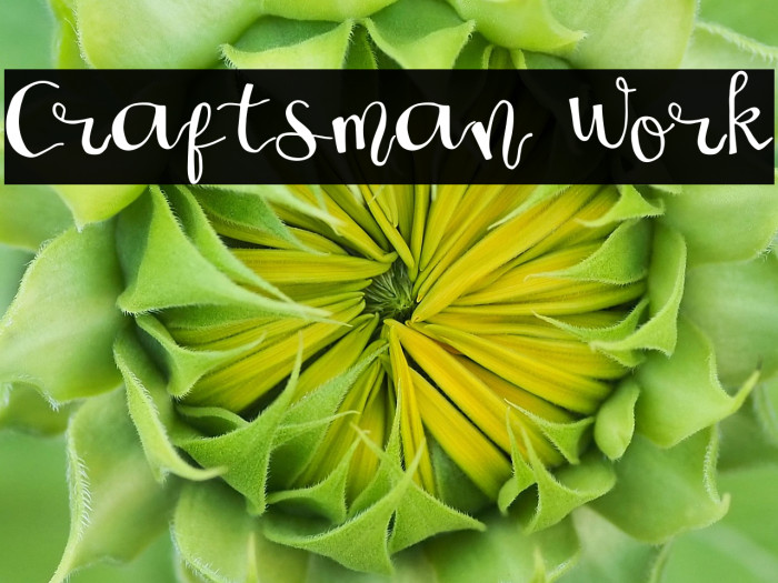 Craftsman Work Example 3