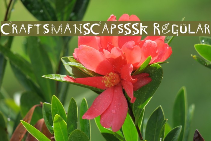 CraftsmanSCapsSSK Regular Font examples