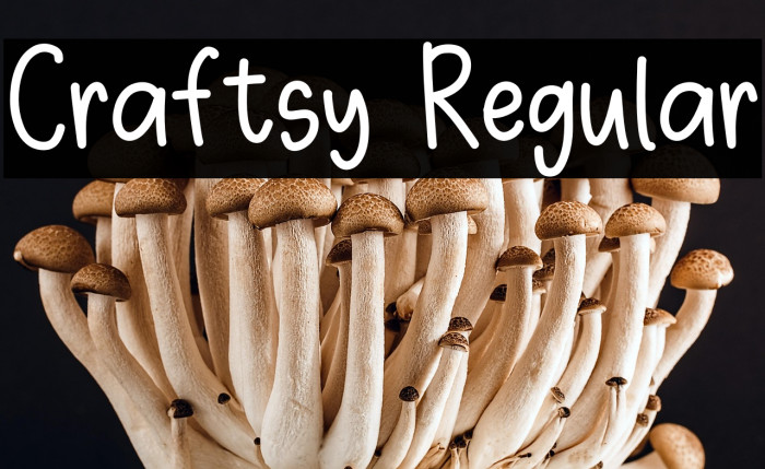 Craftsy Regular Example 1