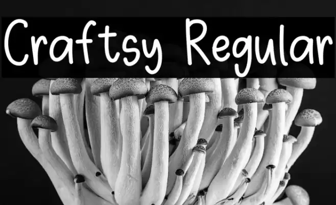 Craftsy Regular Caratteri examples