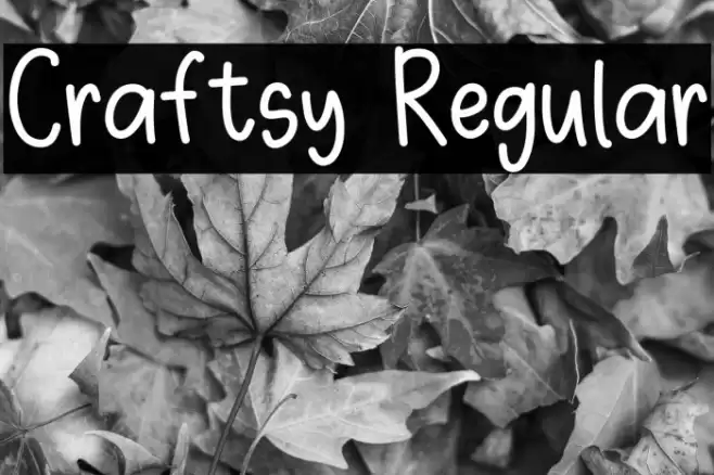 Craftsy Regular Caratteri examples
