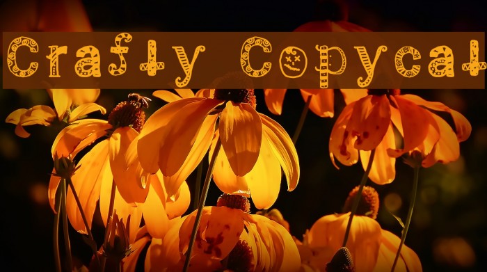 Crafty Copycat Font examples