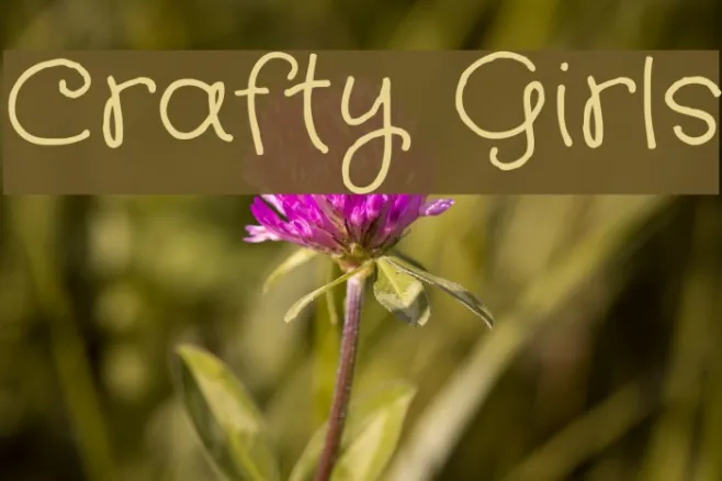 Crafty Girls Example 3