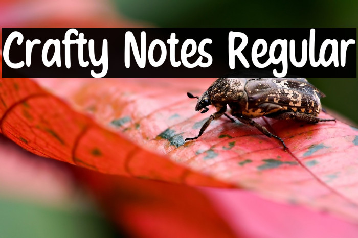 Crafty Notes Regular Example 1