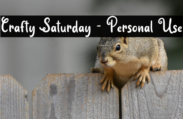 Crafty Saturday - Personal Use Example 3