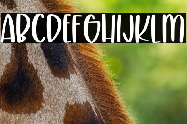 CraftyBeach Example 2