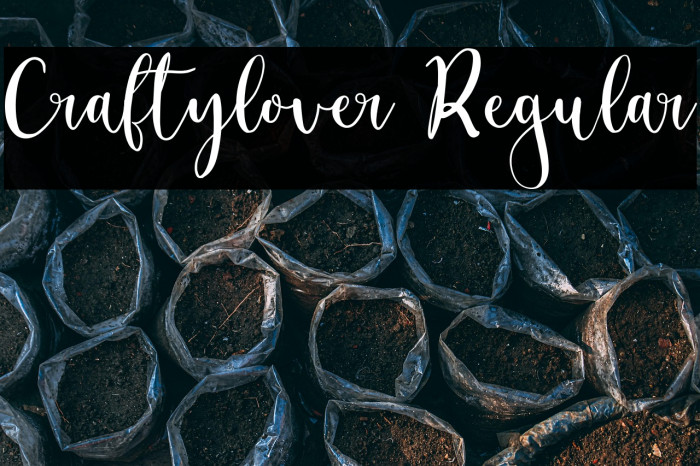 Craftylover Regular Example 1