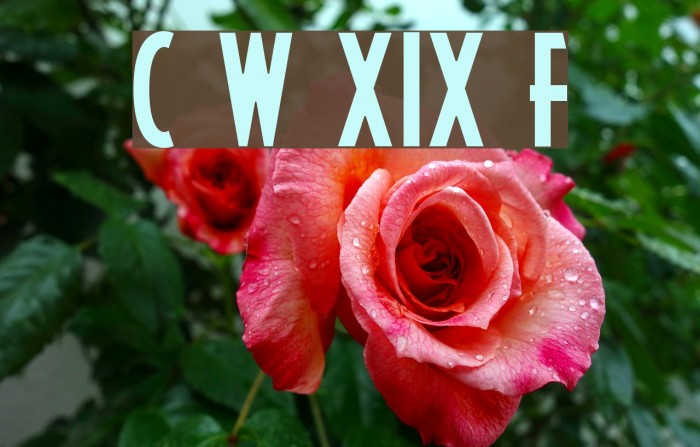 Craiges Wrestlemania XIX Font Font examples