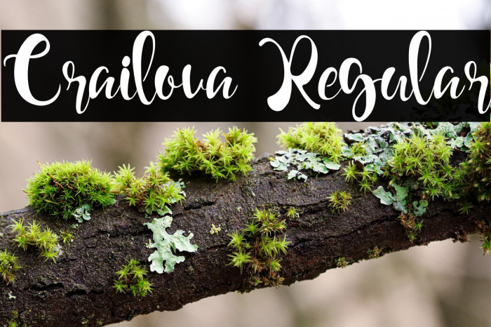 Crailova Regular Example 1