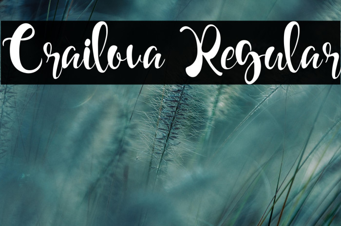 Crailova Regular Example 2