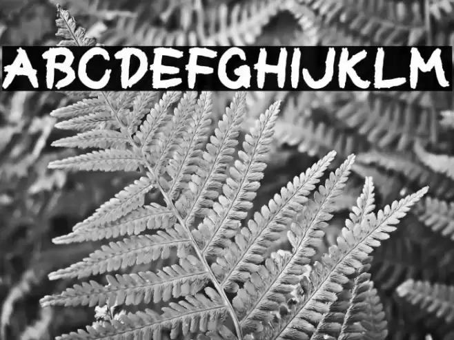 Craiyound Font examples