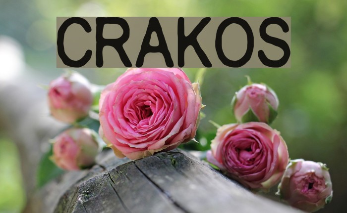 Crakos Font examples