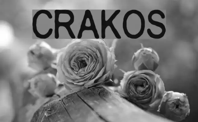 Crakos フォント examples