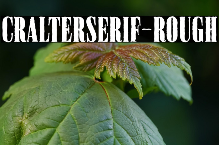 CralterSerif-Rough Example 2