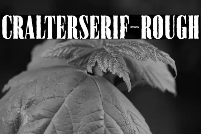 CralterSerif-Rough फ़ॉन्ट examples