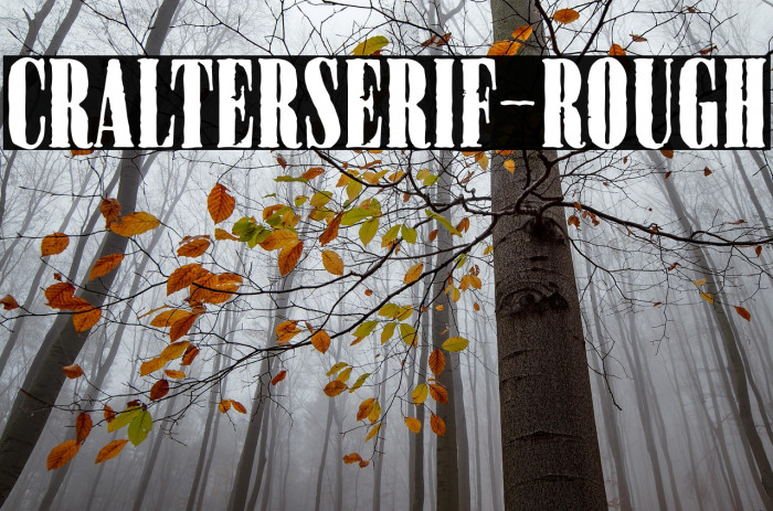 CralterSerif-Rough Example 3