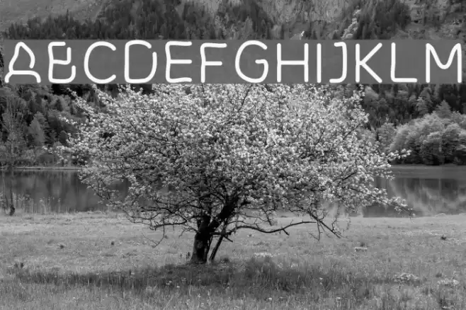 Cranberry Blues Font examples