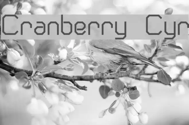 Cranberry Cyr Font examples
