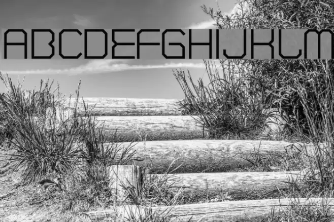 Cranberry Gin Font examples