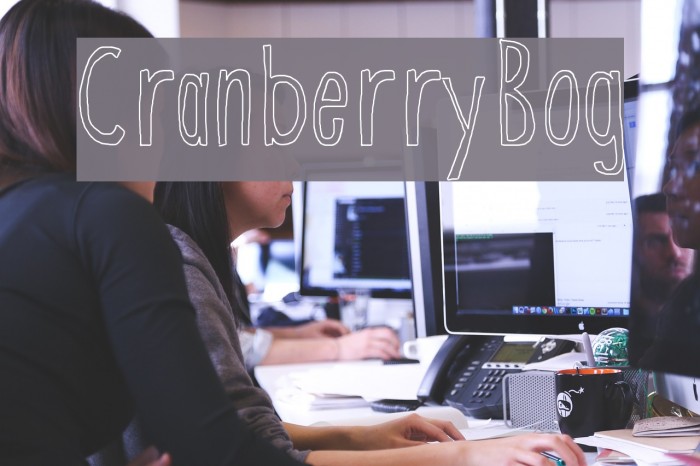 CranberryBog Font examples