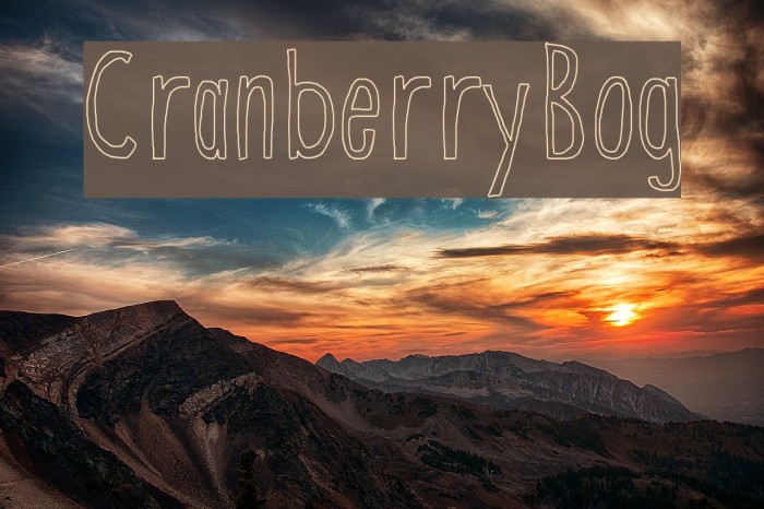 CranberryBog Font examples