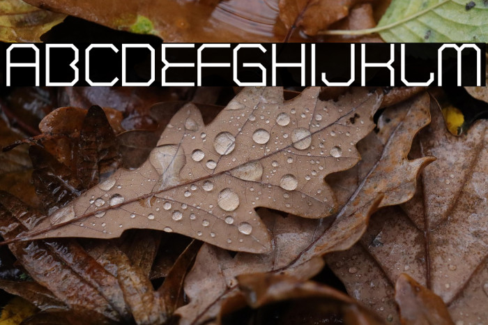 CranberryGin-Regular Example 2