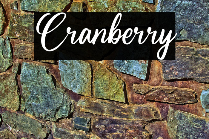 Cranberry Example 1