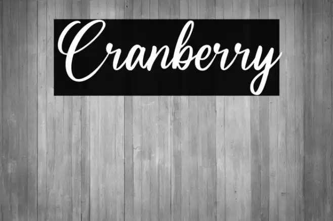 Cranberry Font examples