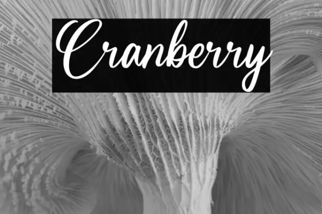 Cranberry Font examples