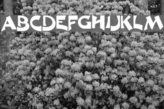 Crane Normal Font examples