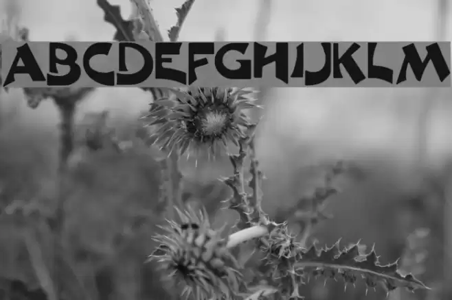 Crane Normal Font examples