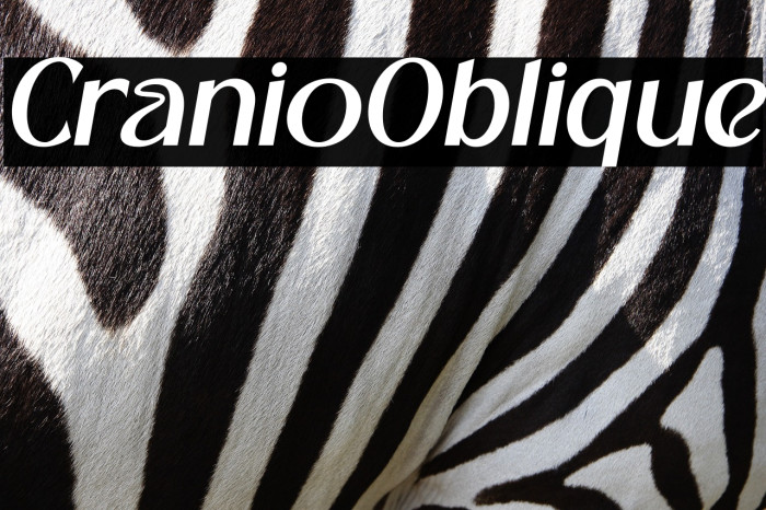 Cranio Oblique Example 2