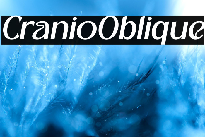 Cranio Oblique Example 3