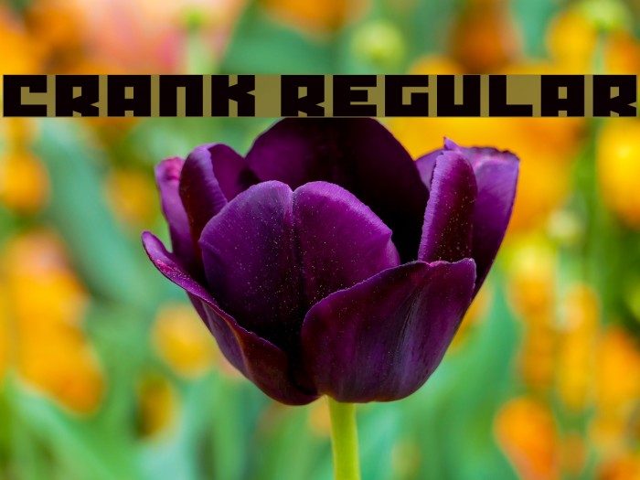 Crank Regular Font examples