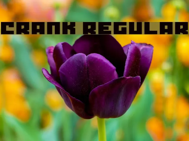 Crank Regular Example 1