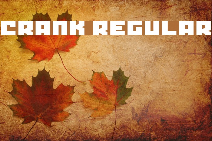 Crank Regular Font examples