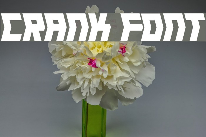 Crank Font examples