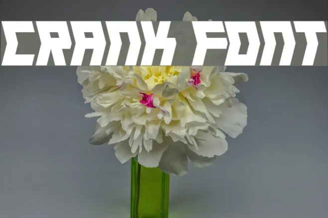 Crank Example 2