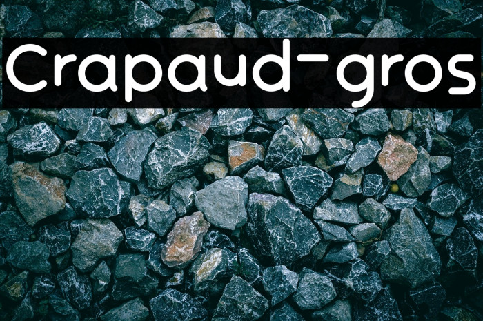 Crapaud-gros Example 2