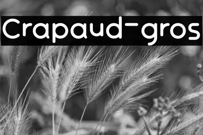 Crapaud-gros Font examples