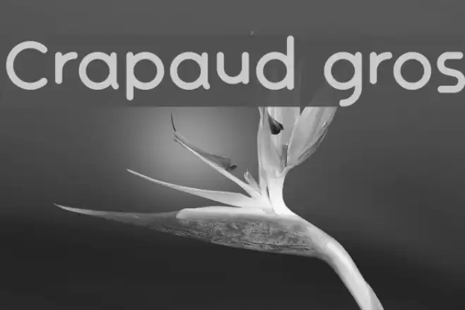 Crapaud gros Font examples