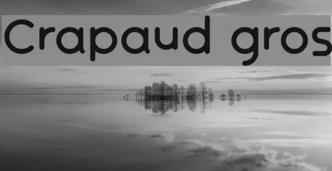 Crapaud gros Font examples