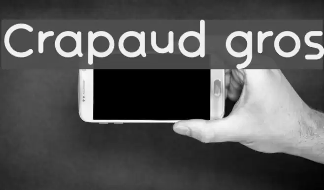 Crapaud gros Font examples