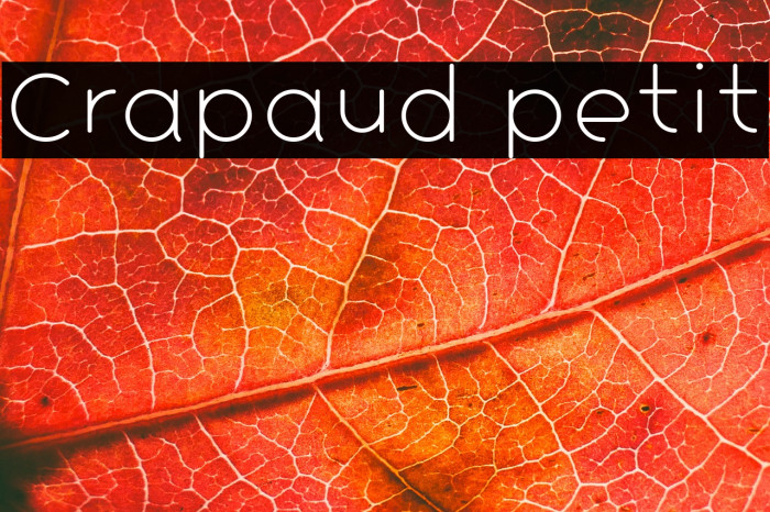 Crapaud petit Example 2