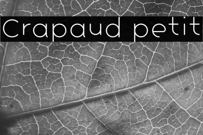 Crapaud petit フォント examples